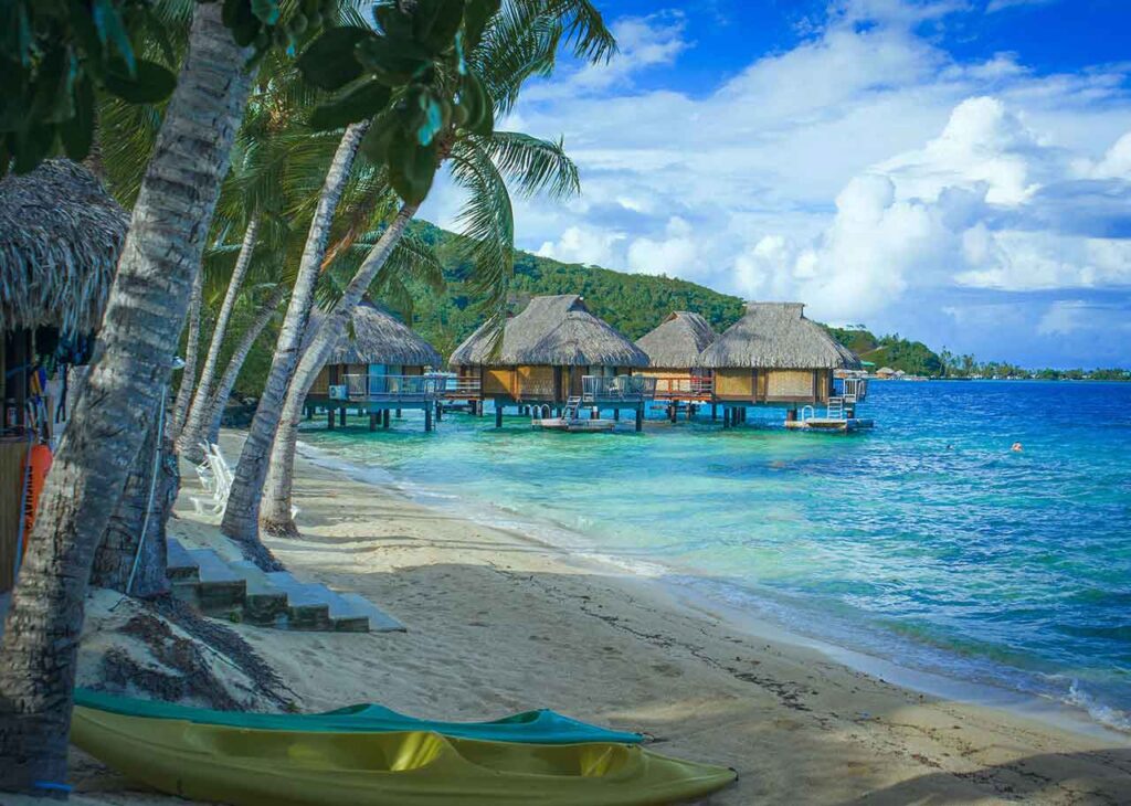 Paradise Blue 1024x730