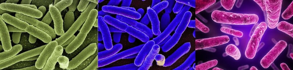 42899d256a41ca2c1617507761ca8de7760ebf08339a2ea1ce47b21f59ff08aa.0 1024x245